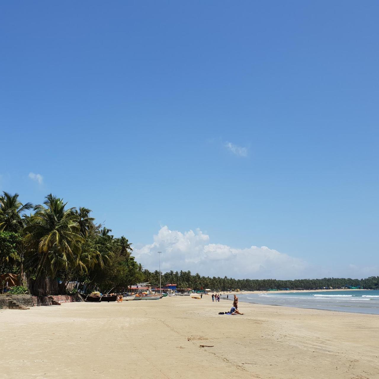 Palm Forest Palolem Luaran gambar