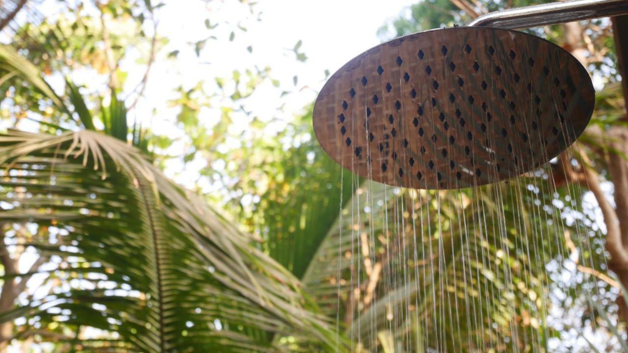 Palm Forest Palolem Luaran gambar